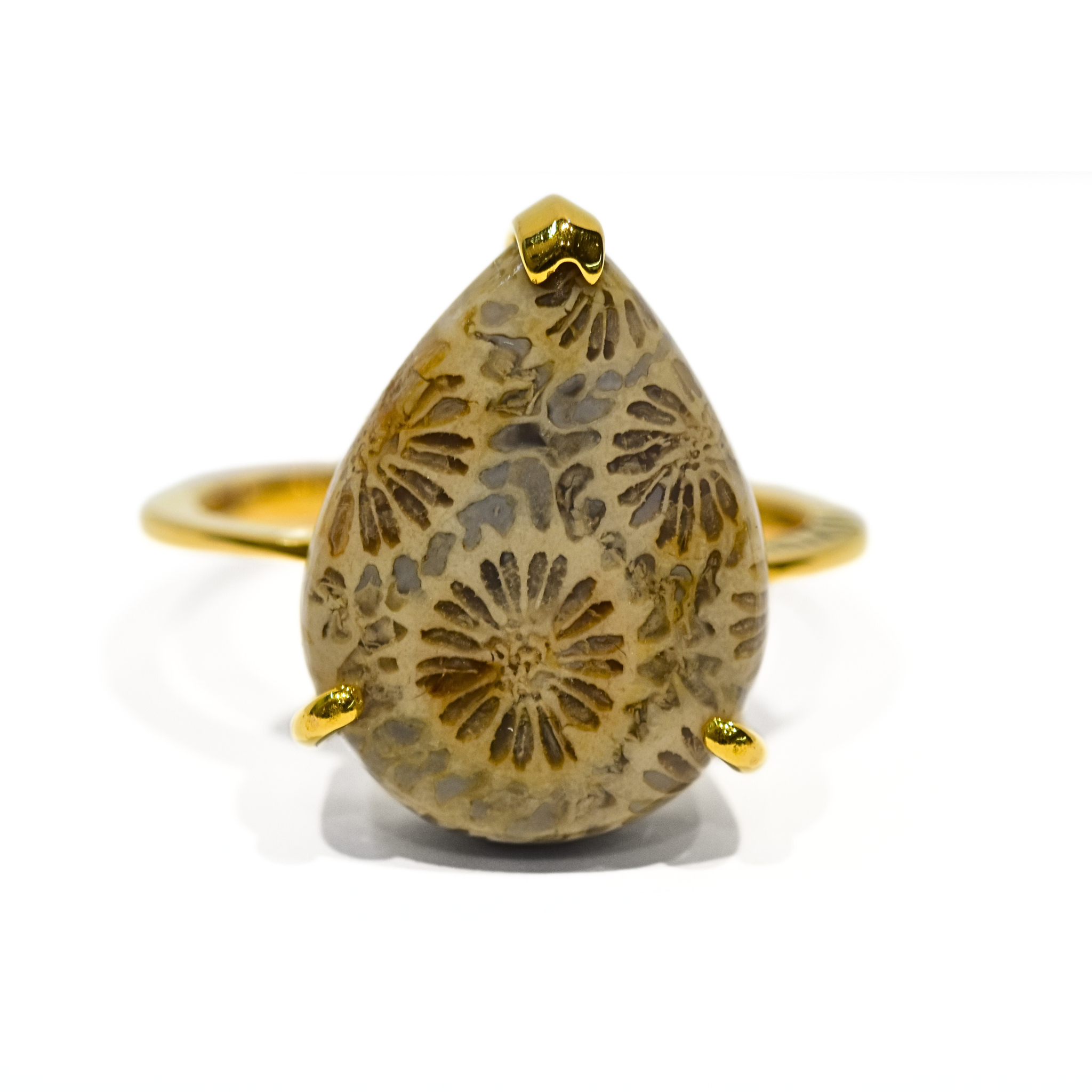 Picture of Natural Agatised Coral Ring